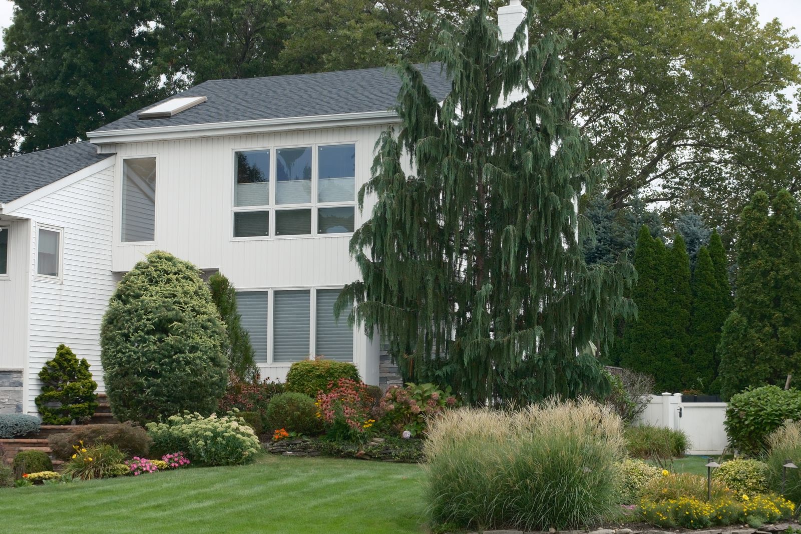 Landscaped suburban home exterior